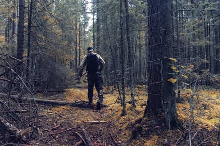 Купить диплом Егеря, лесника в Электростали