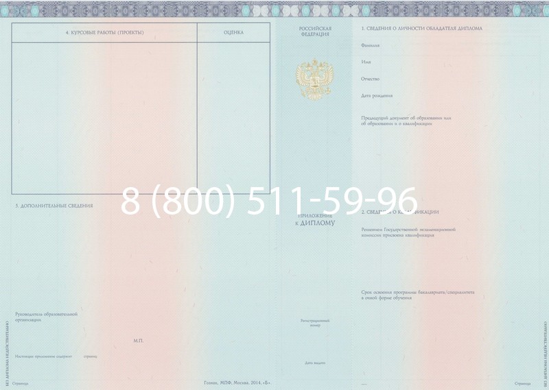 Заказать Диплом бакалавра 2014-2024 года в Электростали Заказать Диплом бакалавра 2014-2024 года в Электростали