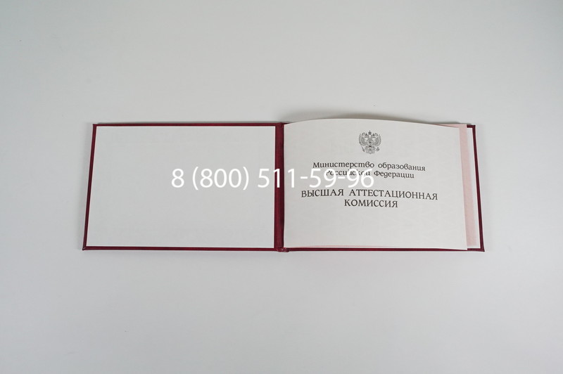 Диплом доктора наук 1995-2006 года в Электростали Диплом доктора наук 1995-2006 года в Электростали