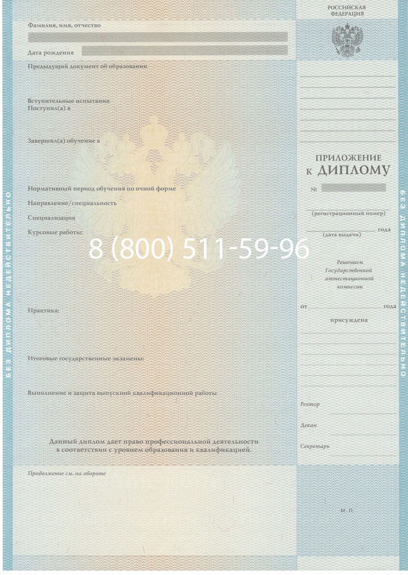 Заказать Диплом магистра 2010-2011 годов в Электростали