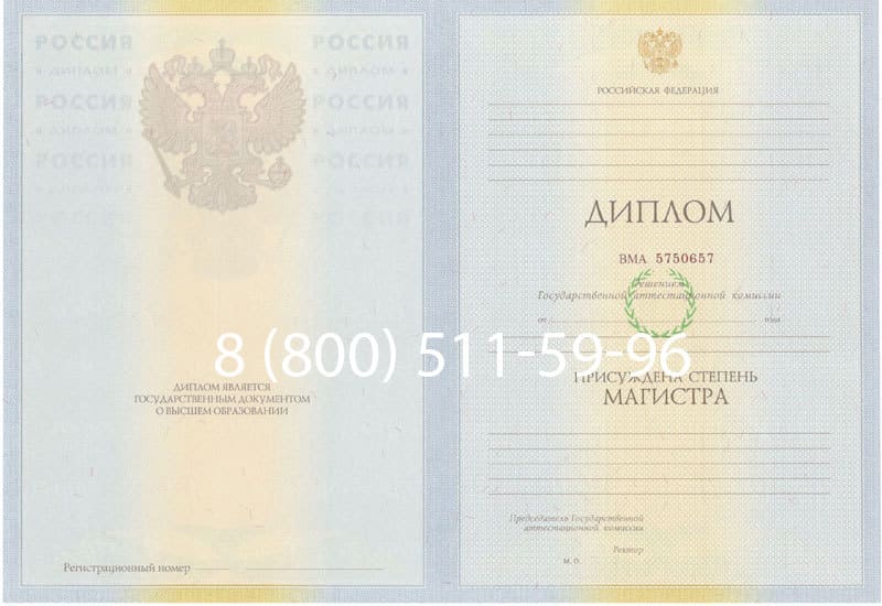Купить Диплом магистра 2010-2011 годов в Электростали