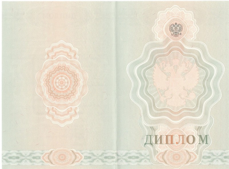 Купить Диплом о начальном образовании 2007-2009 годов в Электростали Купить Диплом о начальном образовании 2007-2009 годов в Электростали