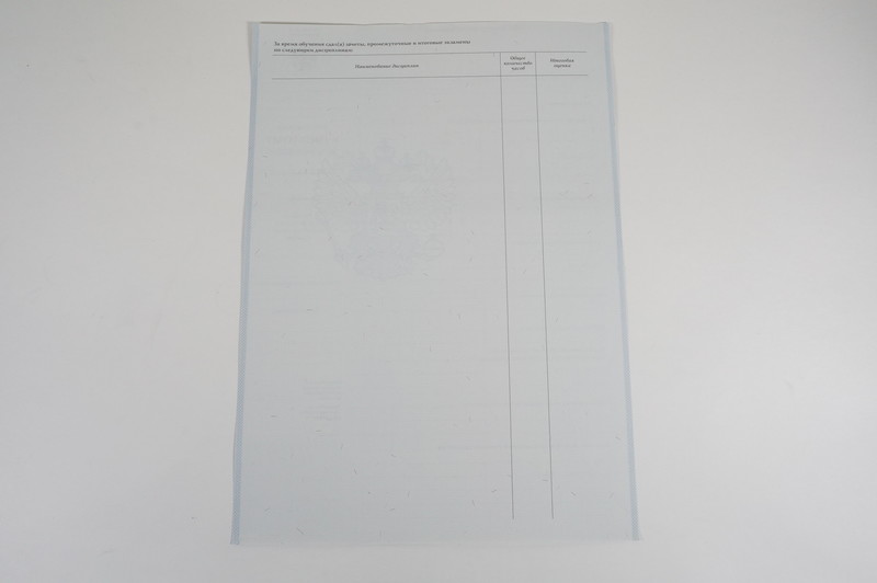 Диплом о начальном образовании 2007-2009 годов в Электростали Диплом о начальном образовании 2007-2009 годов в Электростали
