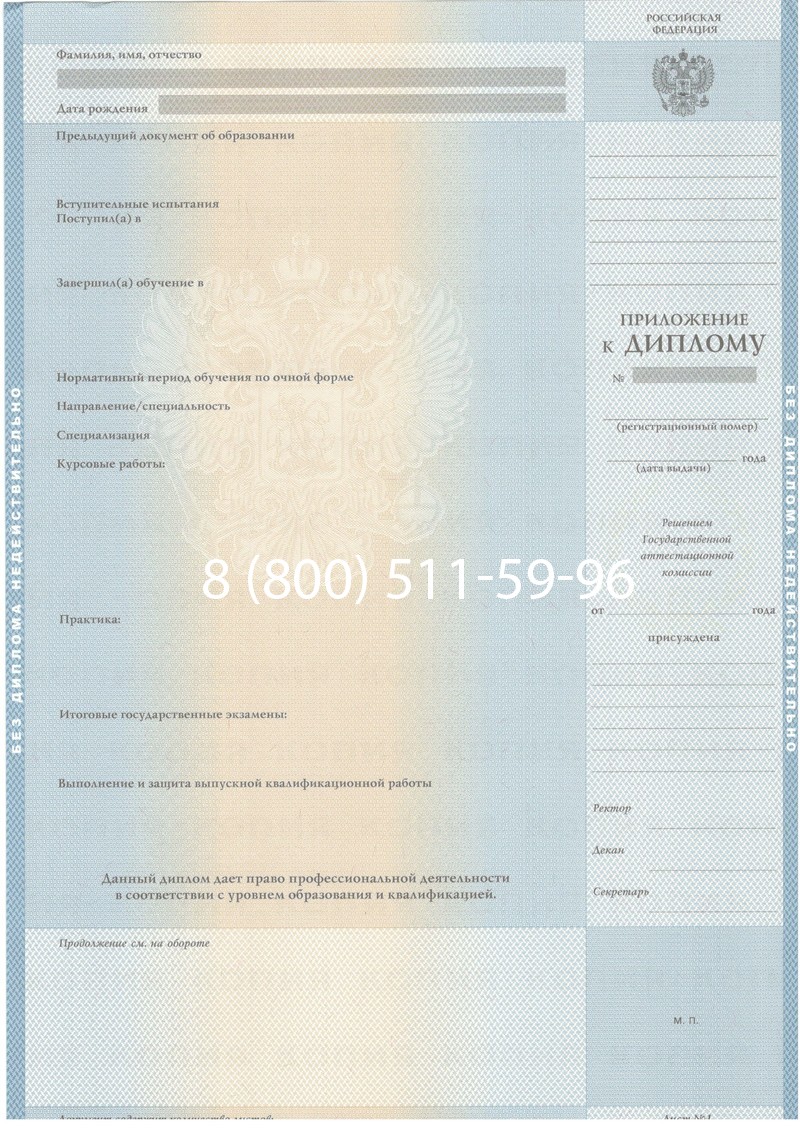 Купить Диплом о высшем образовании 2003-2009 годов в Электростали Купить Диплом о высшем образовании 2003-2009 годов в Электростали