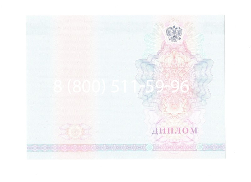 Заказать Диплом техникума 2007-2010 годов в Электростали Заказать Диплом техникума 2007-2010 годов в Электростали