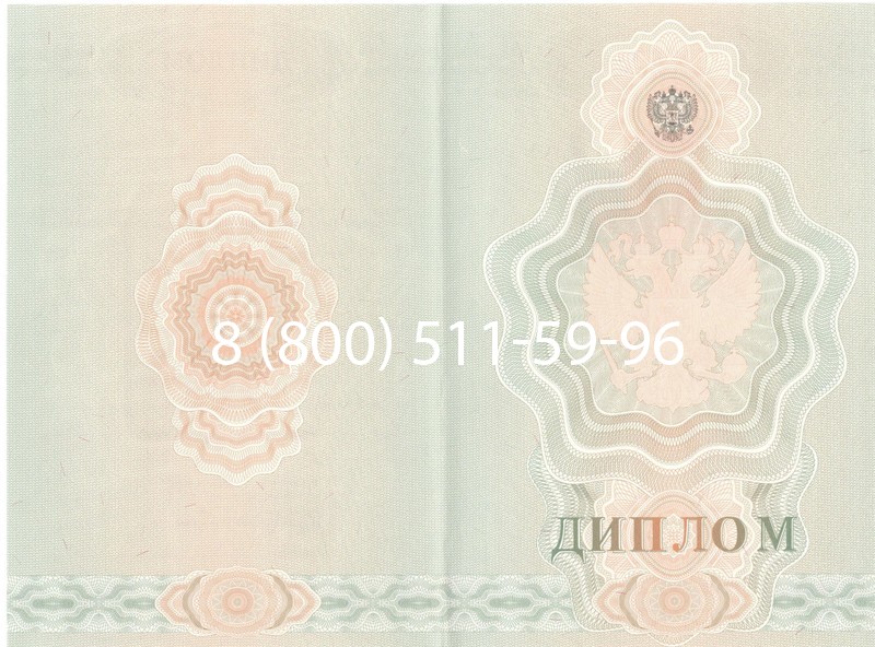 Купить Диплом училища 2007-2009 годов в Электростали